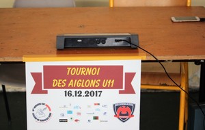 5a35be23bb0d6_aiglons2017001.jpg