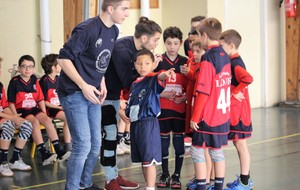 5a35be705555b_aiglons2017020.jpg