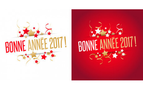 Bonne année 2017 à tous !!!!