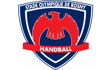 Tournoi de minihand de Rosny : samedi 21 Janvier 2017